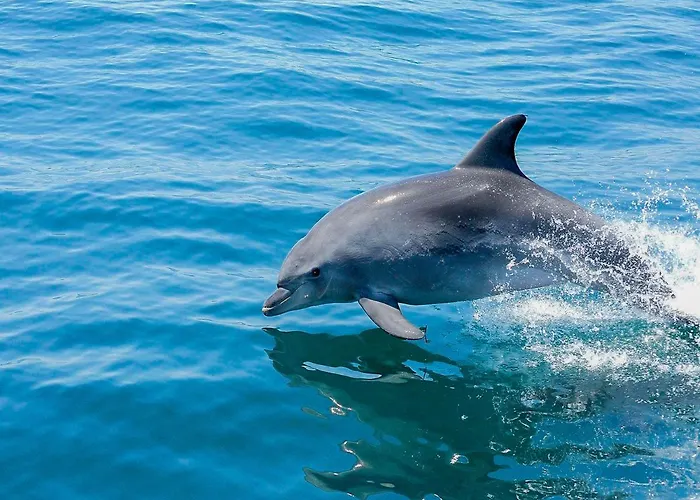 Luxury 1 Bedroom Apartment, Marina De 아파트 *