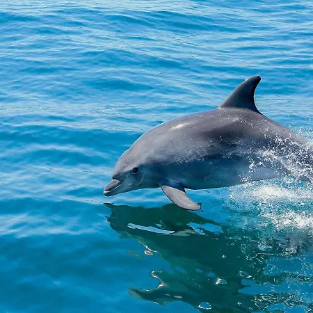 Luxury 1 Bedroom Apartment, Marina De Appartement *